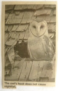 The owl's hoot does not cause nightfall